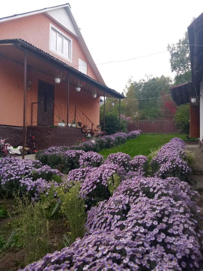 Hotel Gostynnyi Dvir U Marichky Łazieszczina Zewnętrze zdjęcie