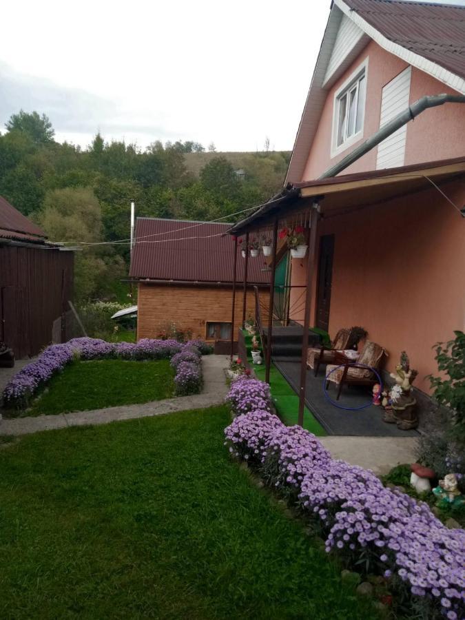 Hotel Gostynnyi Dvir U Marichky Łazieszczina Zewnętrze zdjęcie